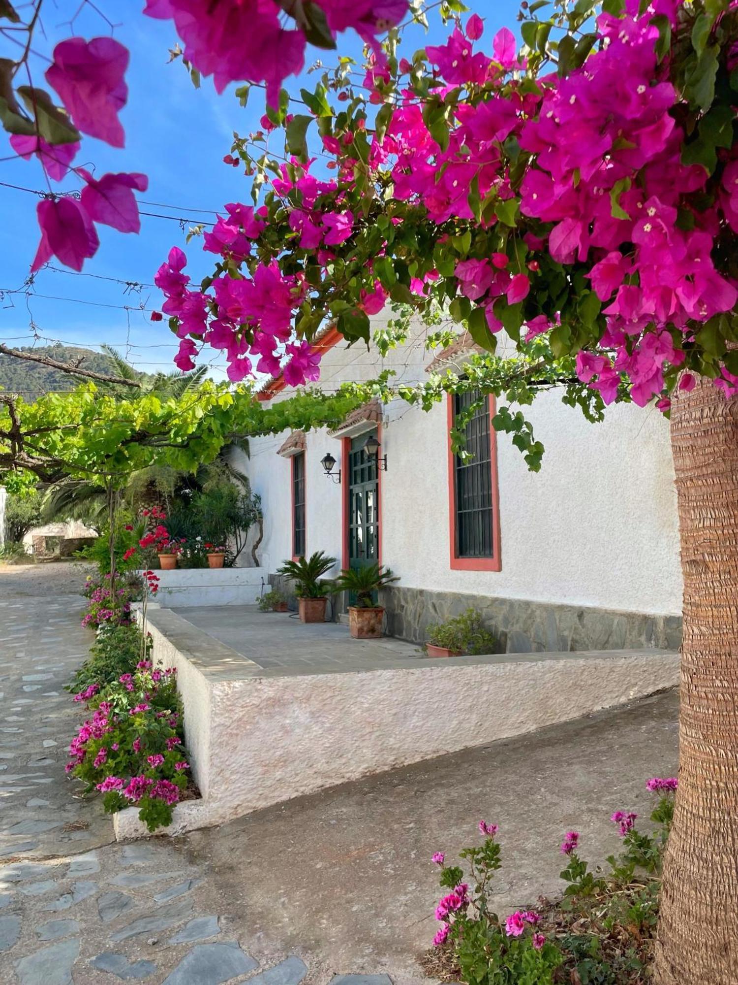 Real Fundicion De Alcora Villa Canjáyar Exteriör bild