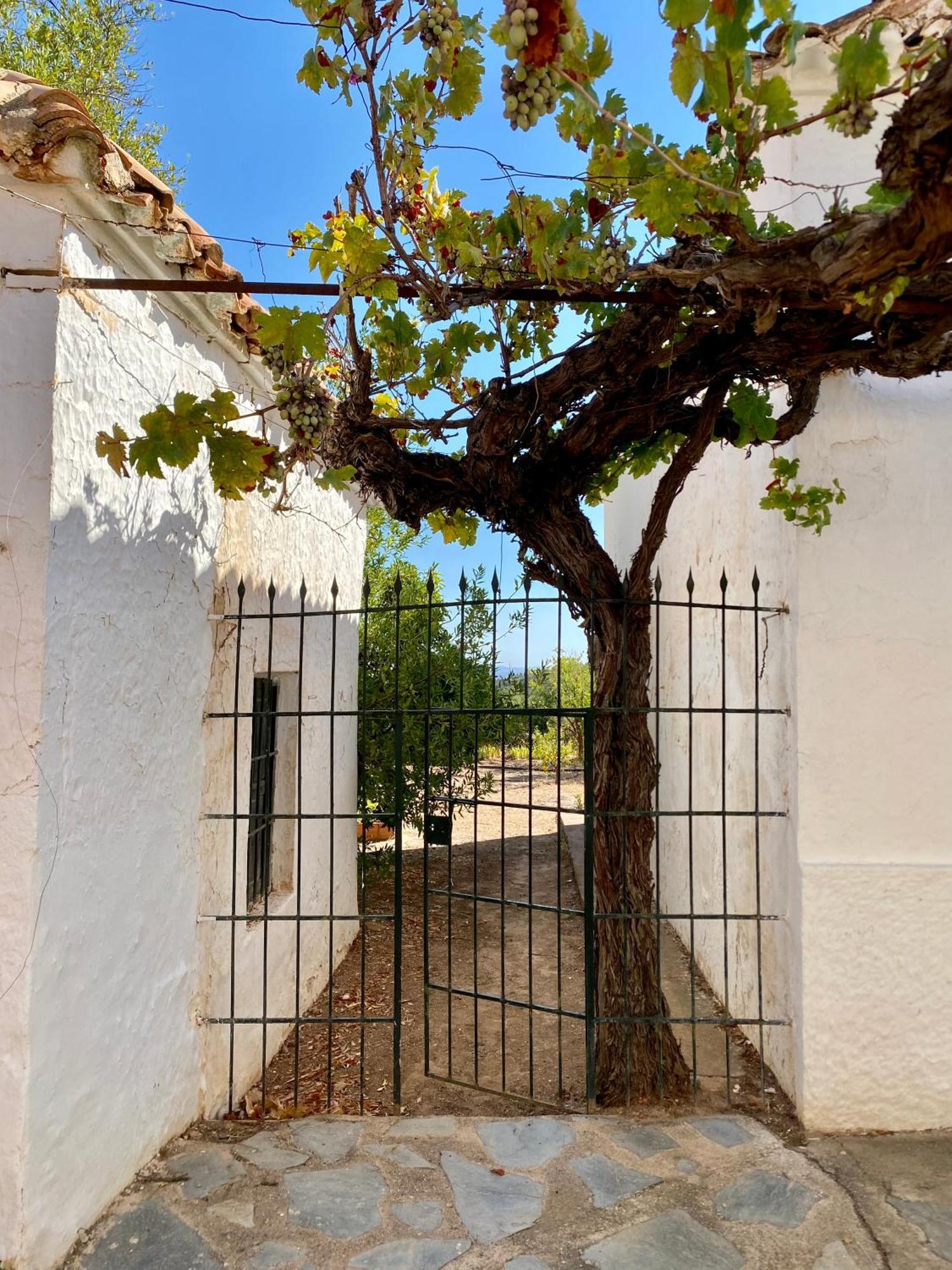 Real Fundicion De Alcora Villa Canjáyar Exteriör bild